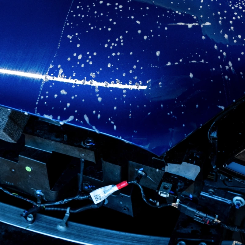 PPF Premium (Paint Protection Film)